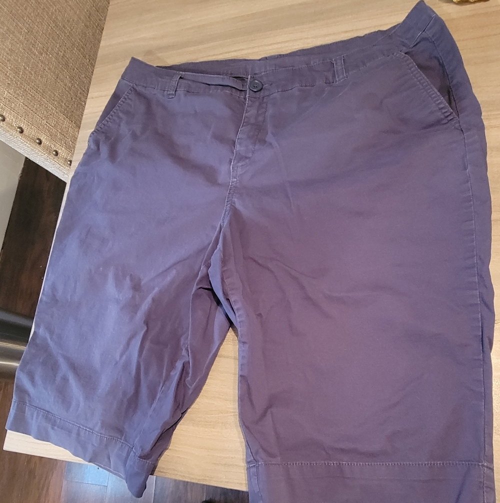 Avenue Navy Blue Casual Womens  Shorts